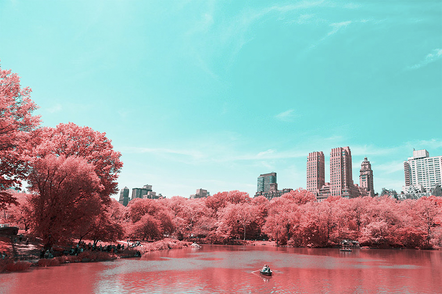 美到窒息－棉花糖般的紐約中央公園 - 設計師專訪 2