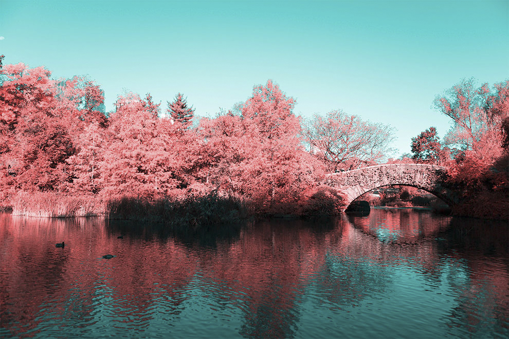 美到窒息－棉花糖般的紐約中央公園 - 設計師專訪 6